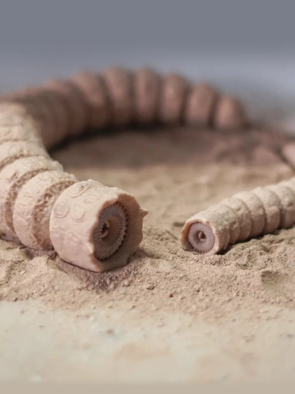 Dune Flexi Sandworm. Print in Place. Support Free. is a beautifully designed 3D